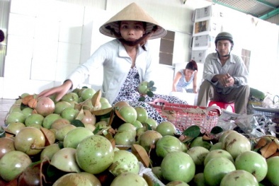 Mùa này nên chọn ăn trái cây gì?